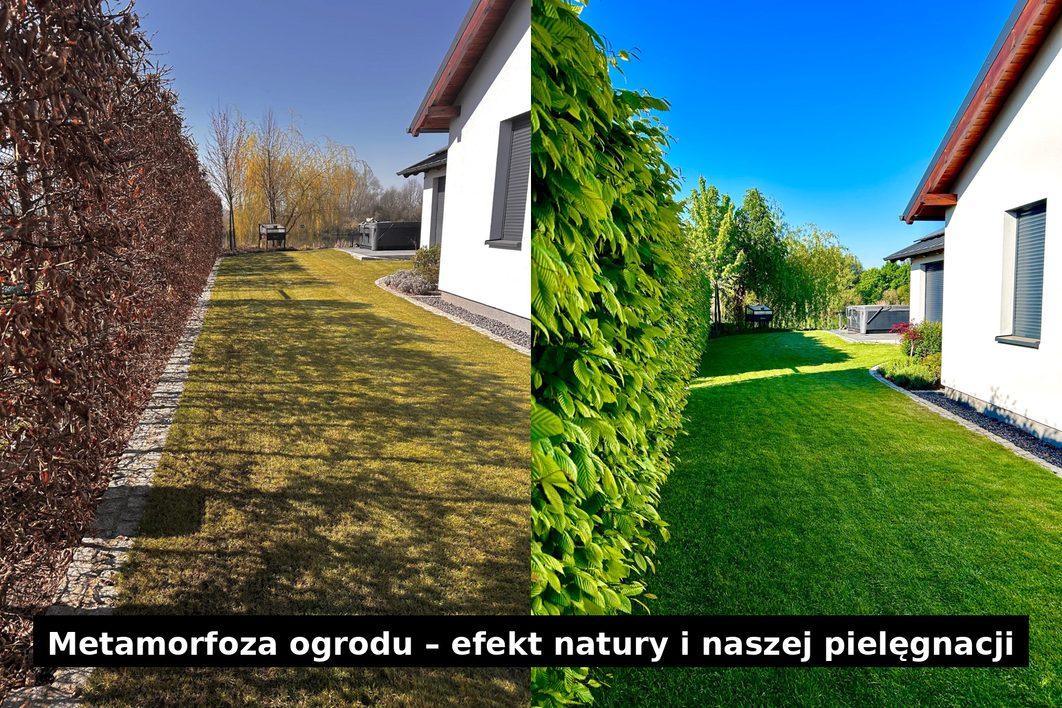 Metamorfoza ogrodu – efekt natury i naszej pielęgnacji